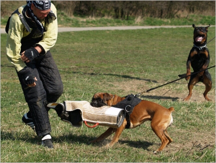 Training in Prague - 2. 4. 2008